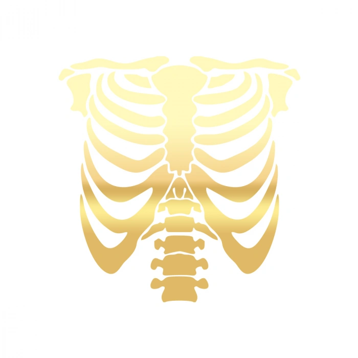 İskelet Araba Sticker 17x17 Cm Gold