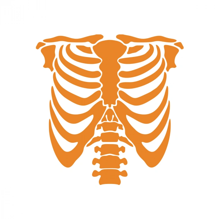 İskelet Araba Sticker 17x17 Cm Turuncu