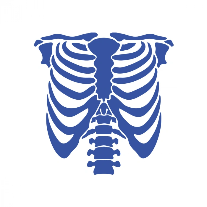 İskelet Araba Sticker 17x17 Cm Mavi