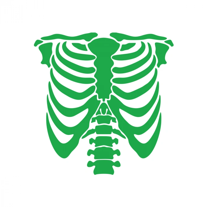 İskelet Araba Sticker 17x17 Cm Yeşil