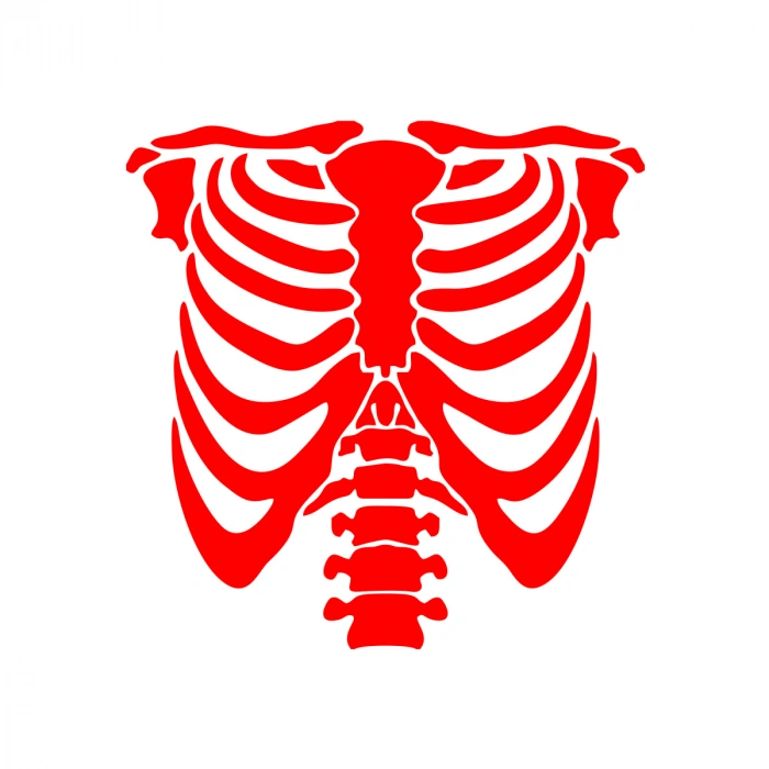 İskelet Araba Sticker 17x17 Cm Kırmızı