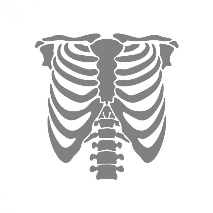 İskelet Araba Sticker 17x17 Cm Gri