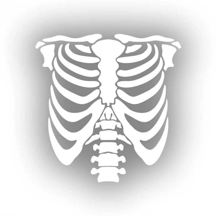 İskelet Araba Sticker 17x17 Cm Beyaz