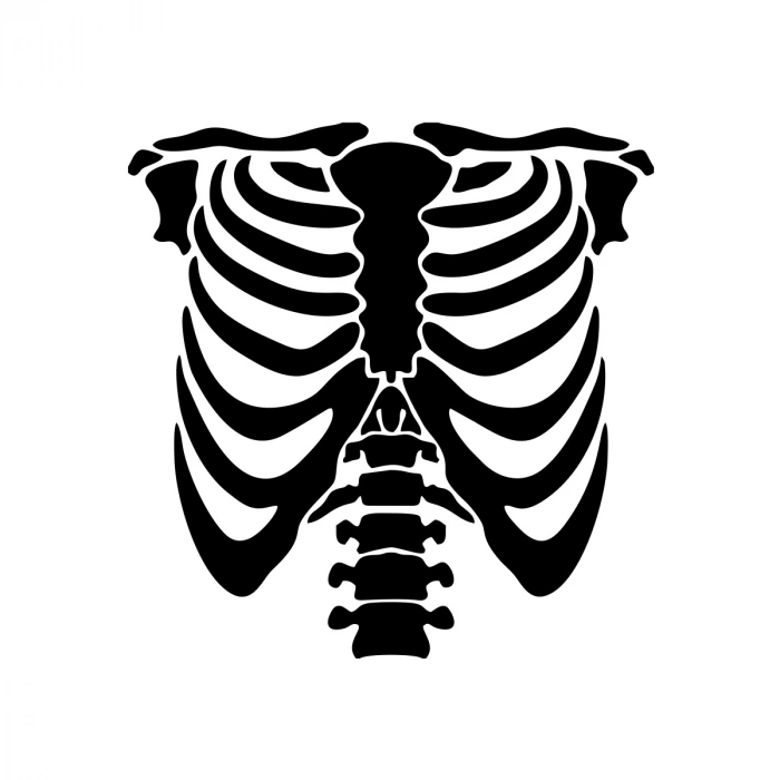 İskelet Araba Sticker 17x17 Cm Siyah