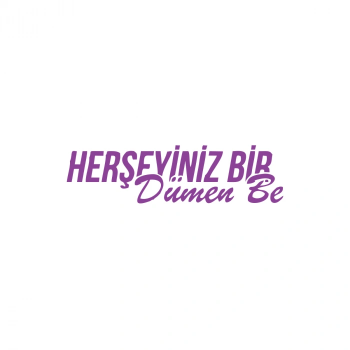 Her Şeyiniz Dümen be Araba Sticker 17x17 Cm Mor