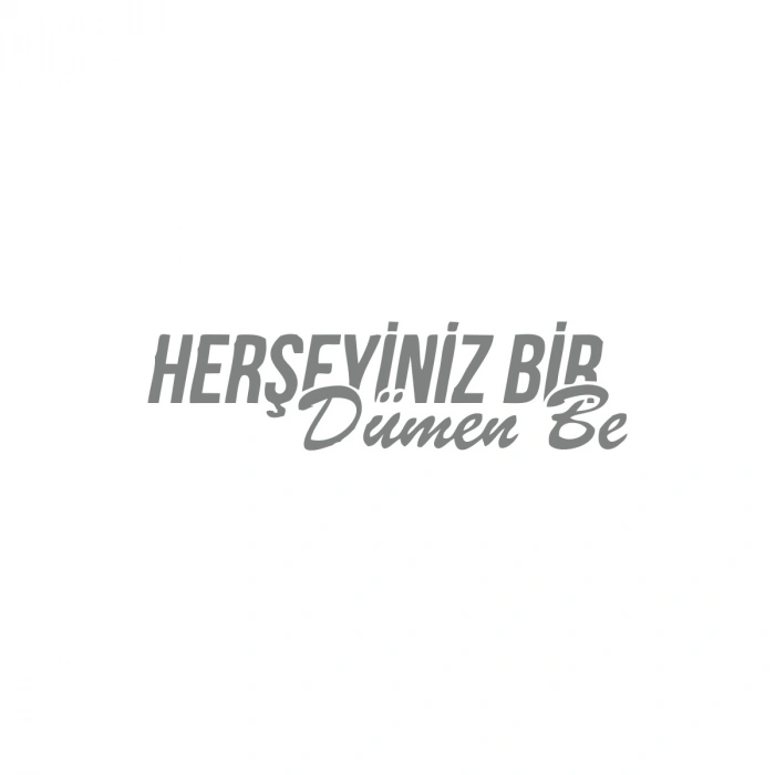 Her Şeyiniz Dümen be Araba Sticker 17x17 Cm Gri