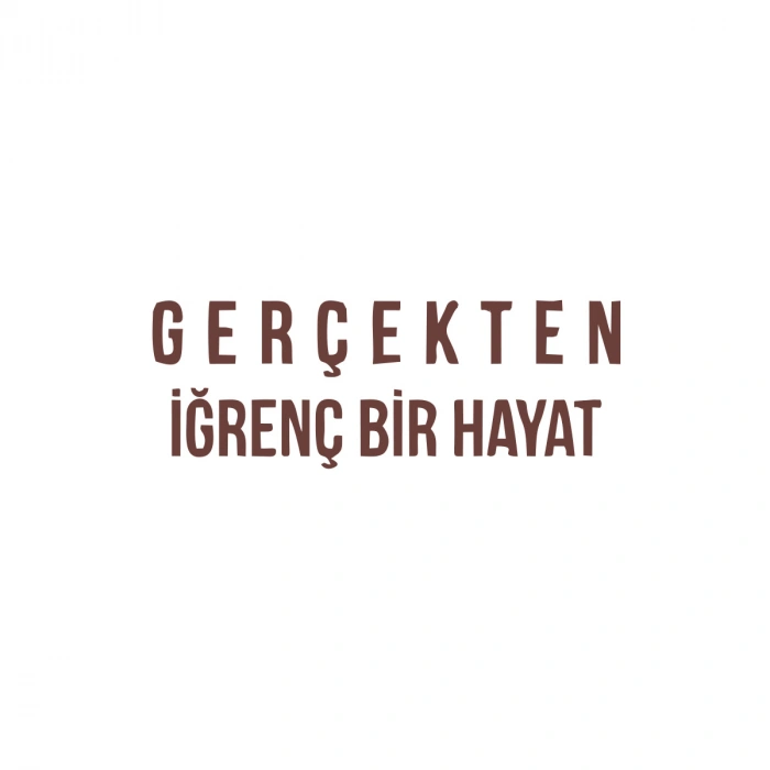 Gerçekten İğrenç Bir Hayat Araba Sticker 17x17 Cm Kahverengi