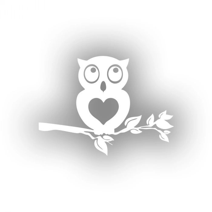 Baykuş Araba Sticker 17x17 Cm Beyaz