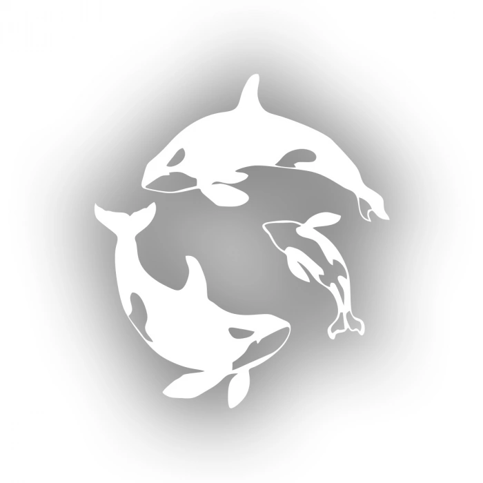 Balinalar Araba Sticker 17x17 Cm Beyaz