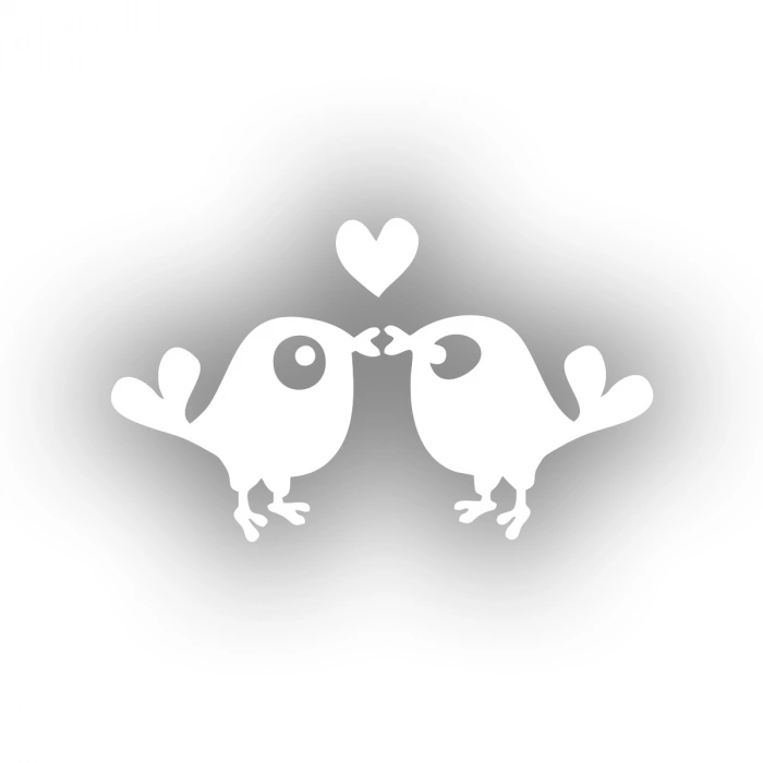 Sevimli Kuşlar Araba Sticker 17x17 Cm Beyaz