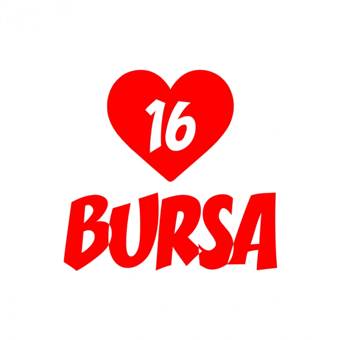 Kalpli 16 Bursa Araba Sticker 17x17 Cm Kırmızı