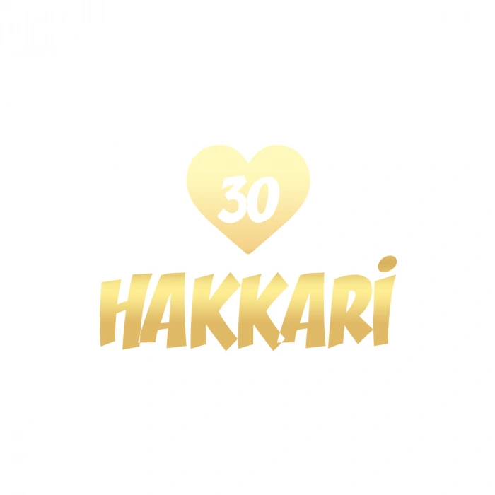 Kalpli 30 Hakkari Araba Sticker 17x17 Cm Gold