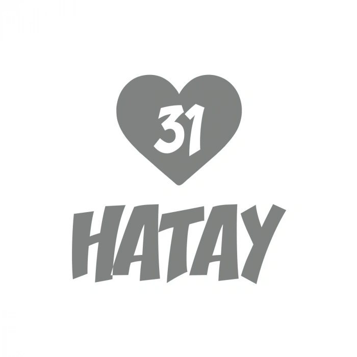 Kalpli 31 Hatay Araba Sticker 17x17 Cm Gri