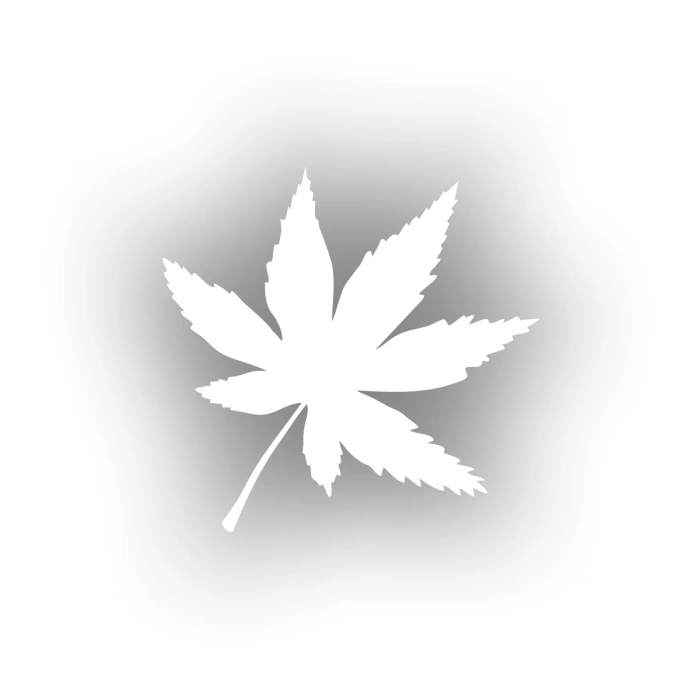 6 Yapraklı Yaprak Araba Sticker 17x17 Cm Beyaz