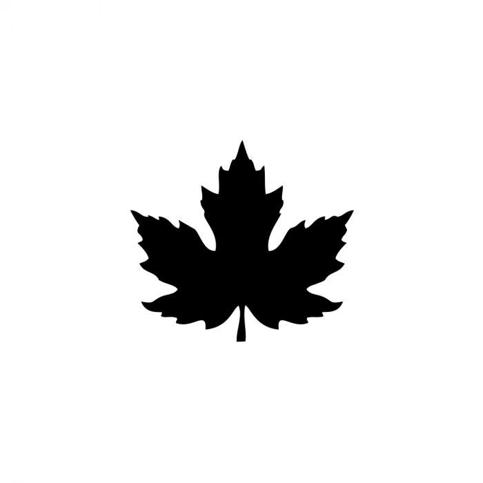 Çınar  Yaprağı Araba Sticker 17x17 Cm Siyah