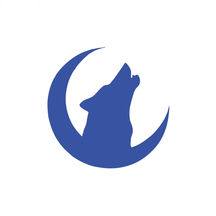 Hilal ve Bozkurt Araba Sticker 17x17 Cm Mavi