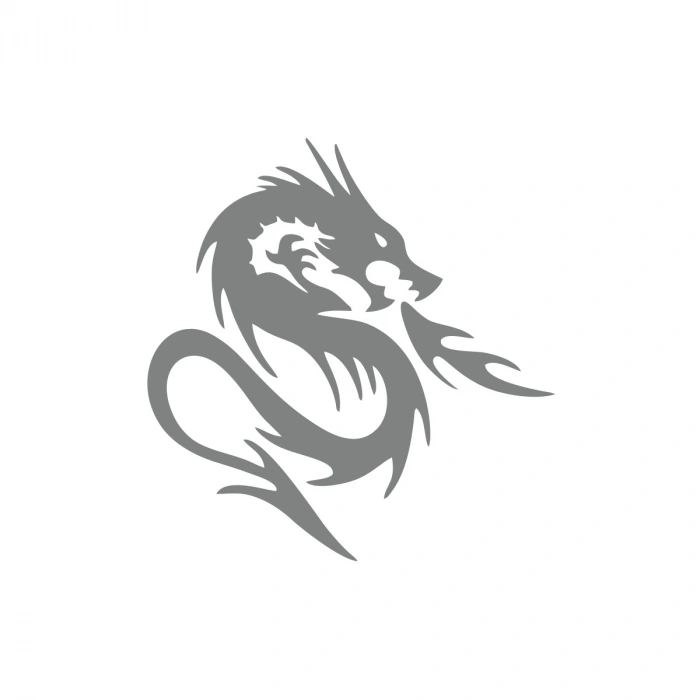 Kızgın Ejderha Araba Sticker 17x17 Cm Gri