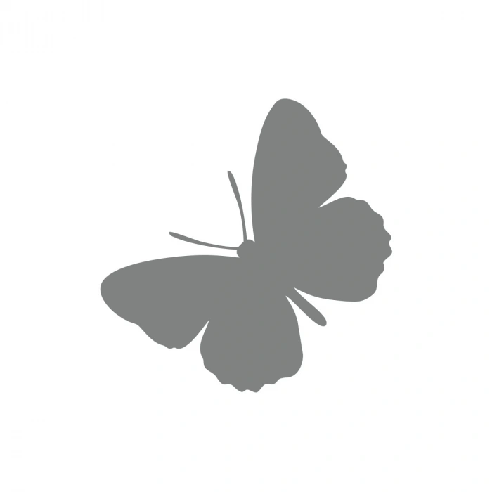 Kelebek Araba Sticker 17x17 Cm Gri