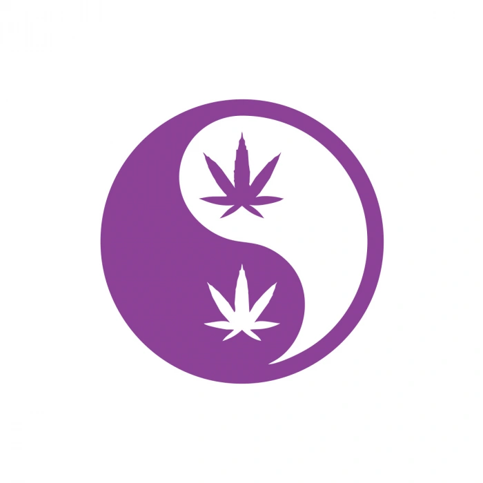 Ying Yang Araba Sticker 17x17 Cm Mor