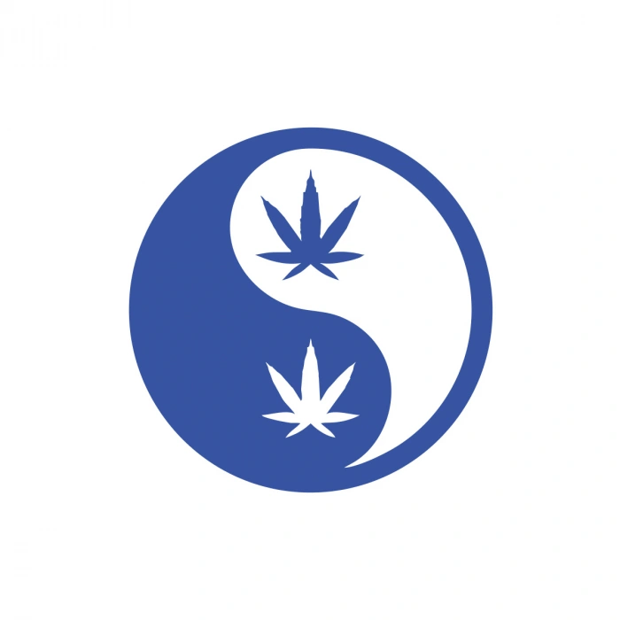 Ying Yang Araba Sticker 17x17 Cm Mavi