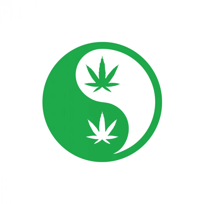 Ying Yang Araba Sticker 17x17 Cm Yeşil