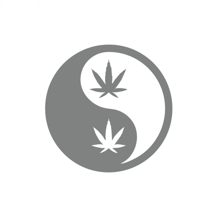 Ying Yang Araba Sticker 17x17 Cm Gri