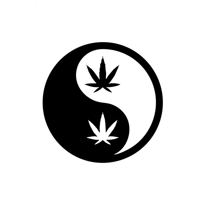 Ying Yang Araba Sticker 17x17 Cm Siyah