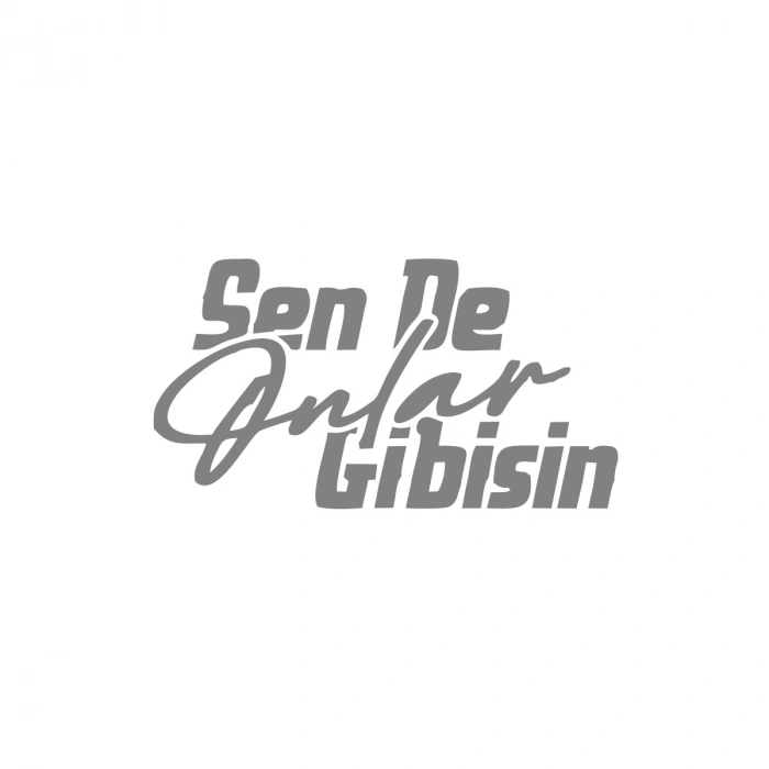 Sen de Onlar Gibisin Araba Sticker 17x17 Cm Gri