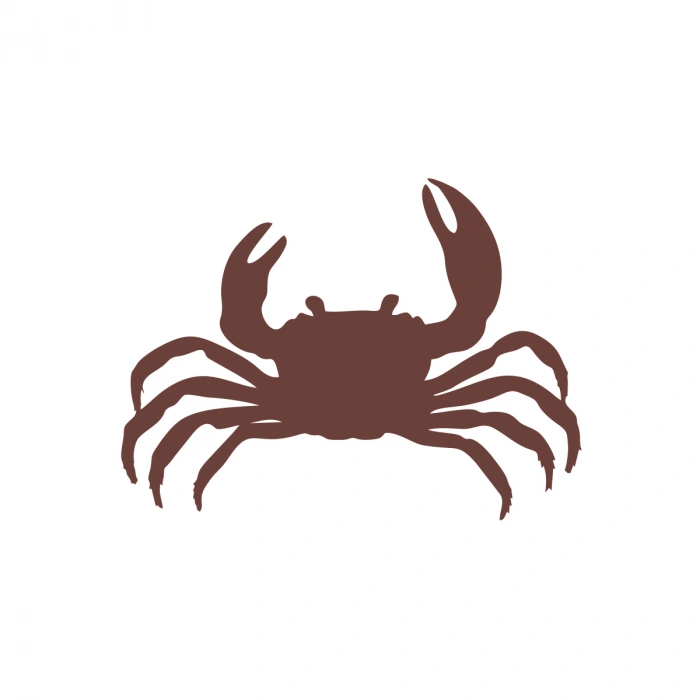 Yengeç Araba Sticker 17x17 Cm Kahverengi