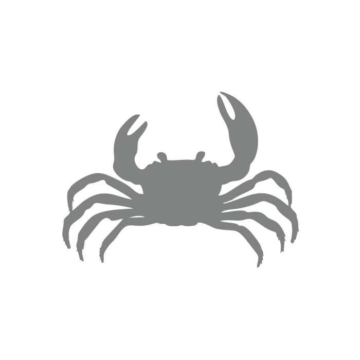 Yengeç Araba Sticker 17x17 Cm Gri