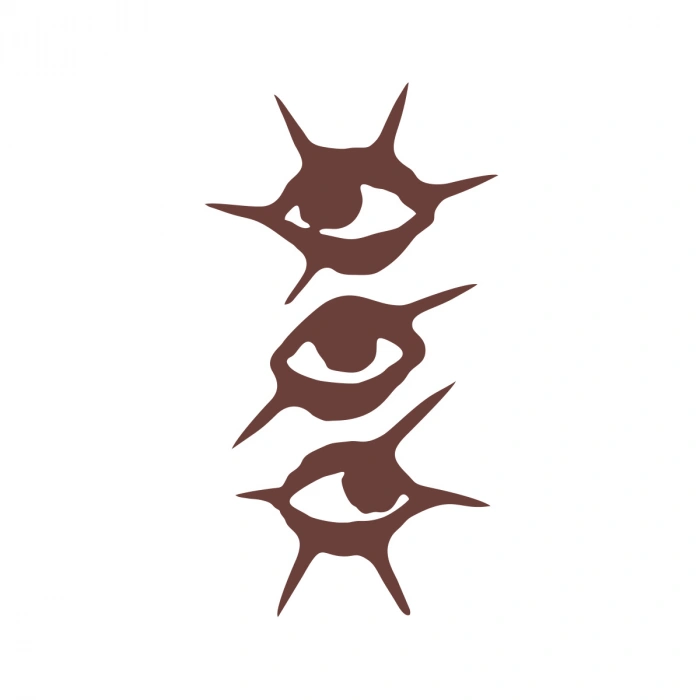 Gözler Araba Sticker 17x17 Cm Kahverengi