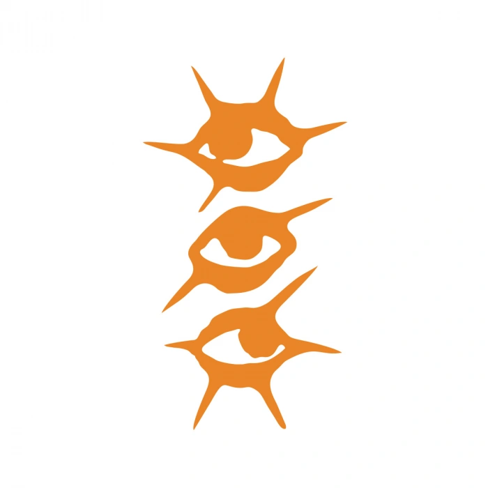 Gözler Araba Sticker 17x17 Cm Turuncu