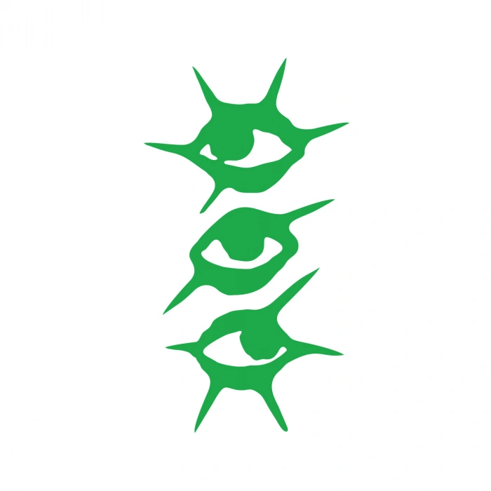 Gözler Araba Sticker 17x17 Cm Yeşil