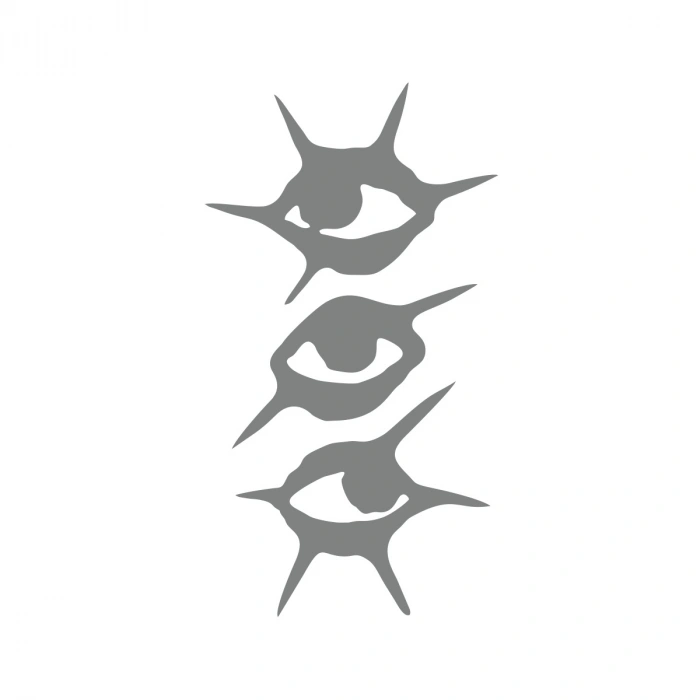 Gözler Araba Sticker 17x17 Cm Gri