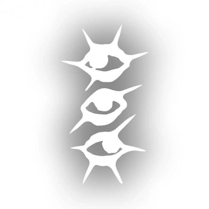 Gözler Araba Sticker 17x17 Cm Beyaz