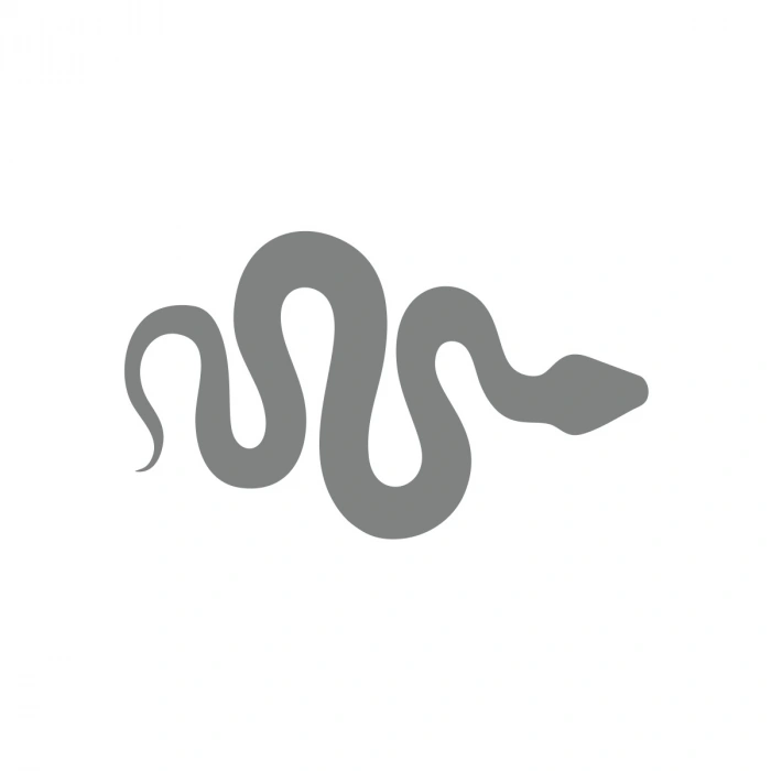 Yılan Araba Sticker 17x17 Cm Gri