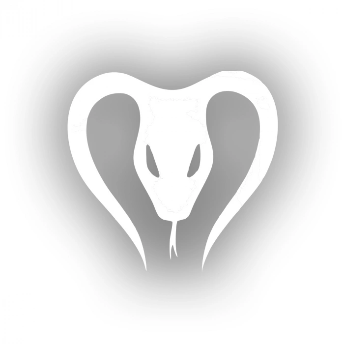 Yılan Araba Sticker 17x17 Cm Beyaz