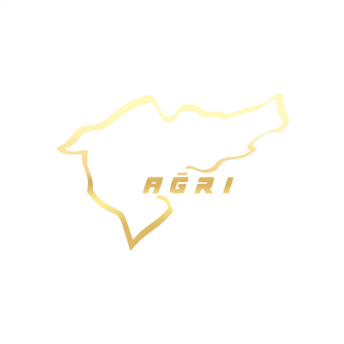 Ağrı Araba Sticker 17x17 Cm Gold