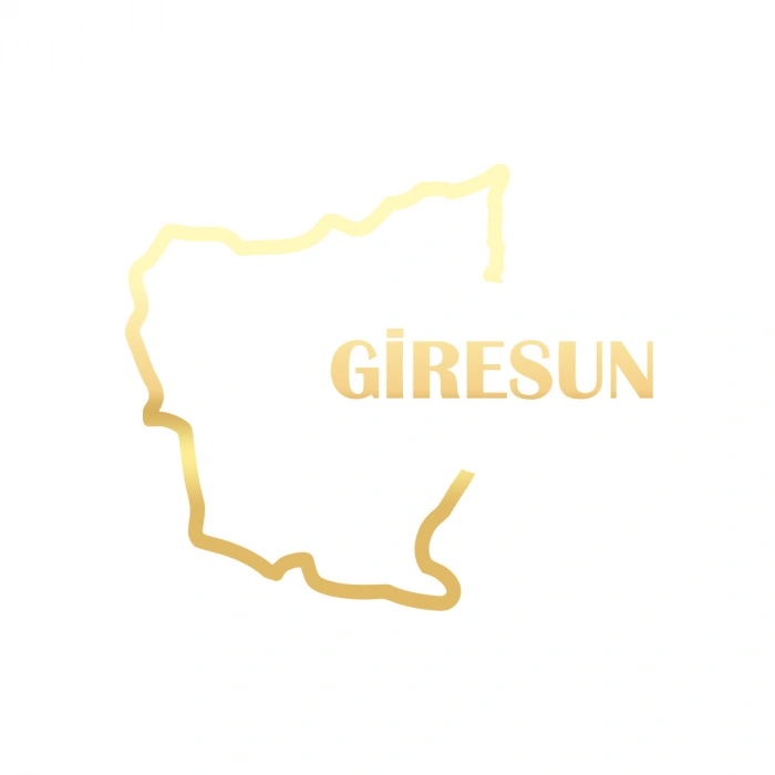 Giresun Harita Araba Sticker 17x17 Cm Gold