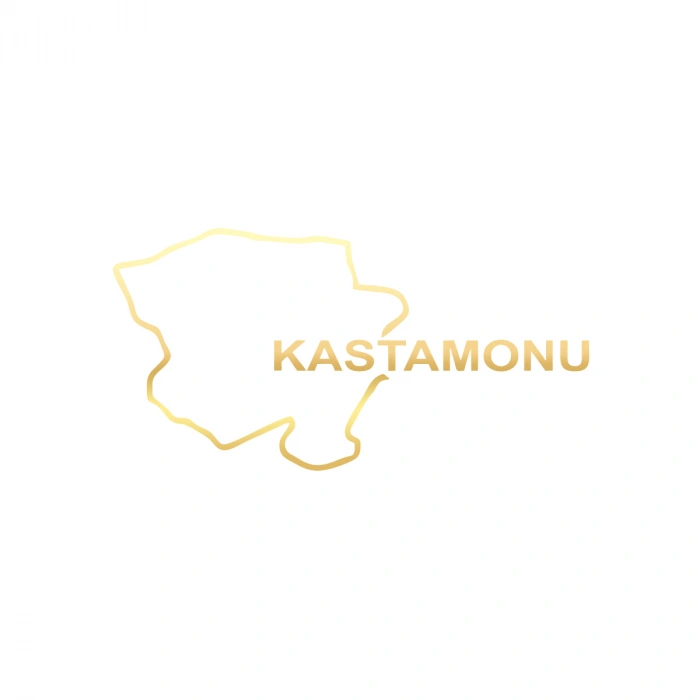 Kastamonu Harita Araba Sticker 17x17 Cm Gold