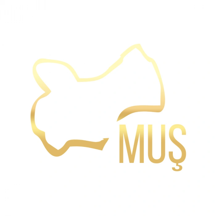 Muş Harita Araba Sticker 17x17 Cm Gold