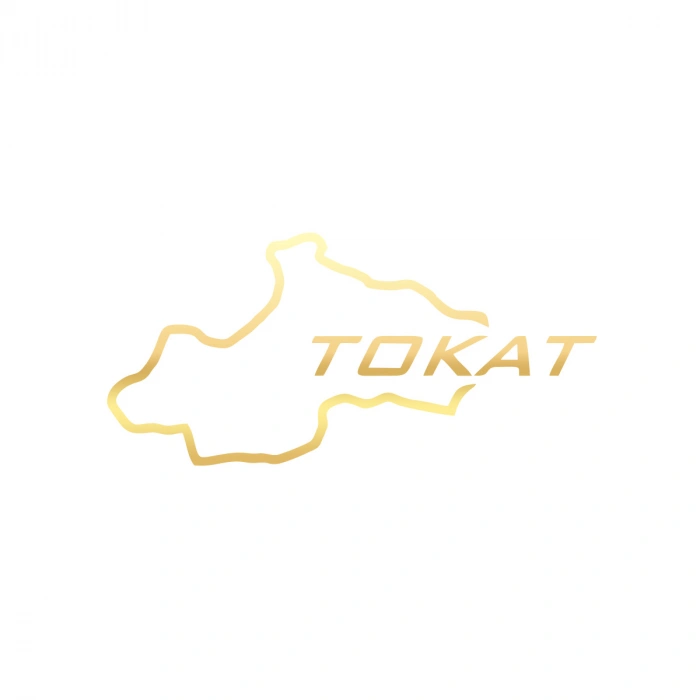 Tokat Harita Araba Sticker 17x17 Cm Gold