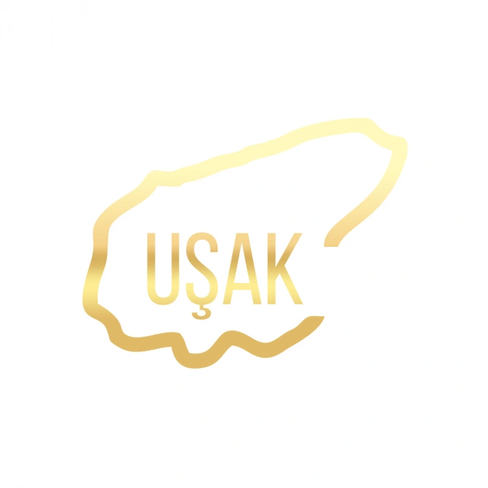 Uşak Harita Araba Sticker 17x17 Cm Gold