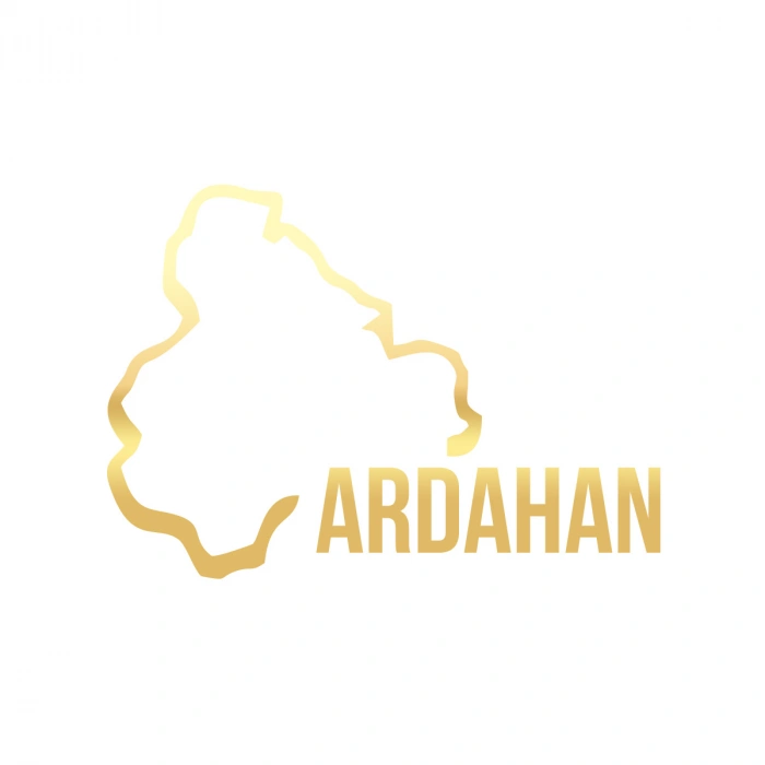 Ardahan Harita Araba Sticker 17x17 Cm Gold