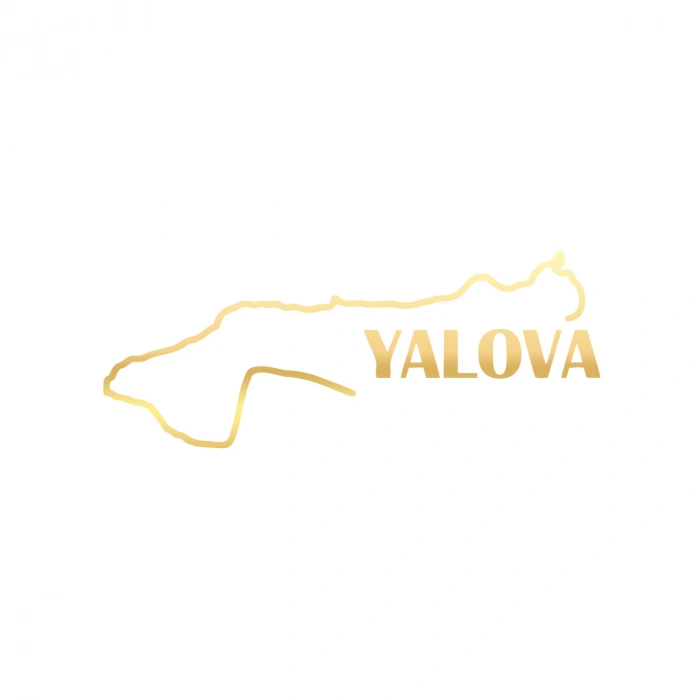 Yalova Harita Araba Sticker 17x17 Cm Gold