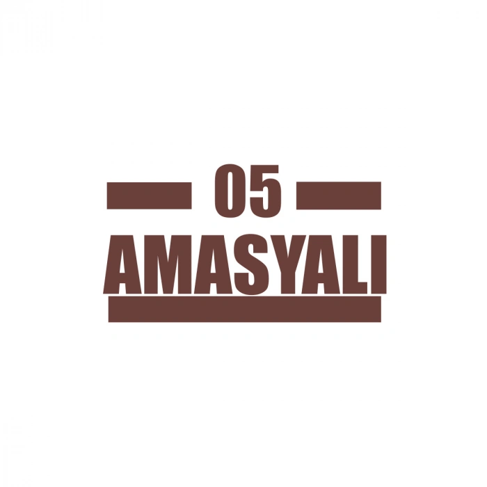 05 Amasyalı Araba Sticker 17x17 Cm Kahverengi