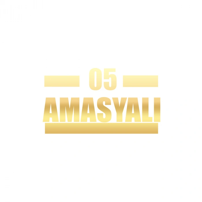 05 Amasyalı Araba Sticker 17x17 Cm Gold