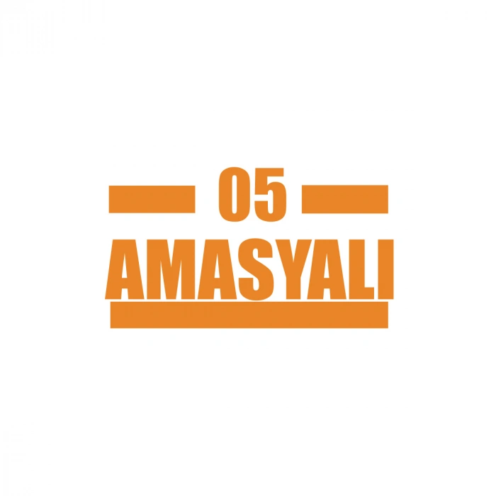 05 Amasyalı Araba Sticker 17x17 Cm Turuncu