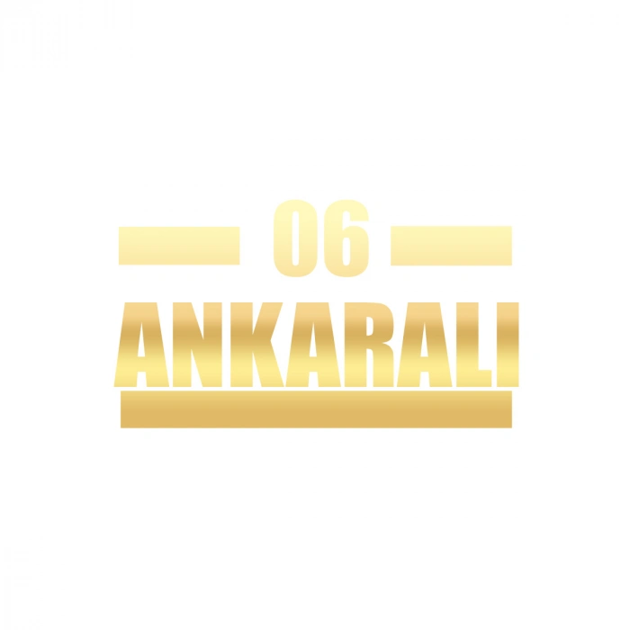 06 Ankaralı Araba Sticker 17x17 Cm Gold