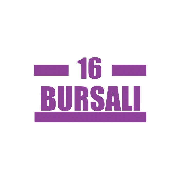 16 Bursalı Araba Sticker 17x17 Cm Mor